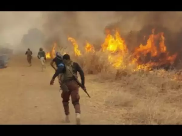 Video: Jungle War -  2017 Nollywood Movies